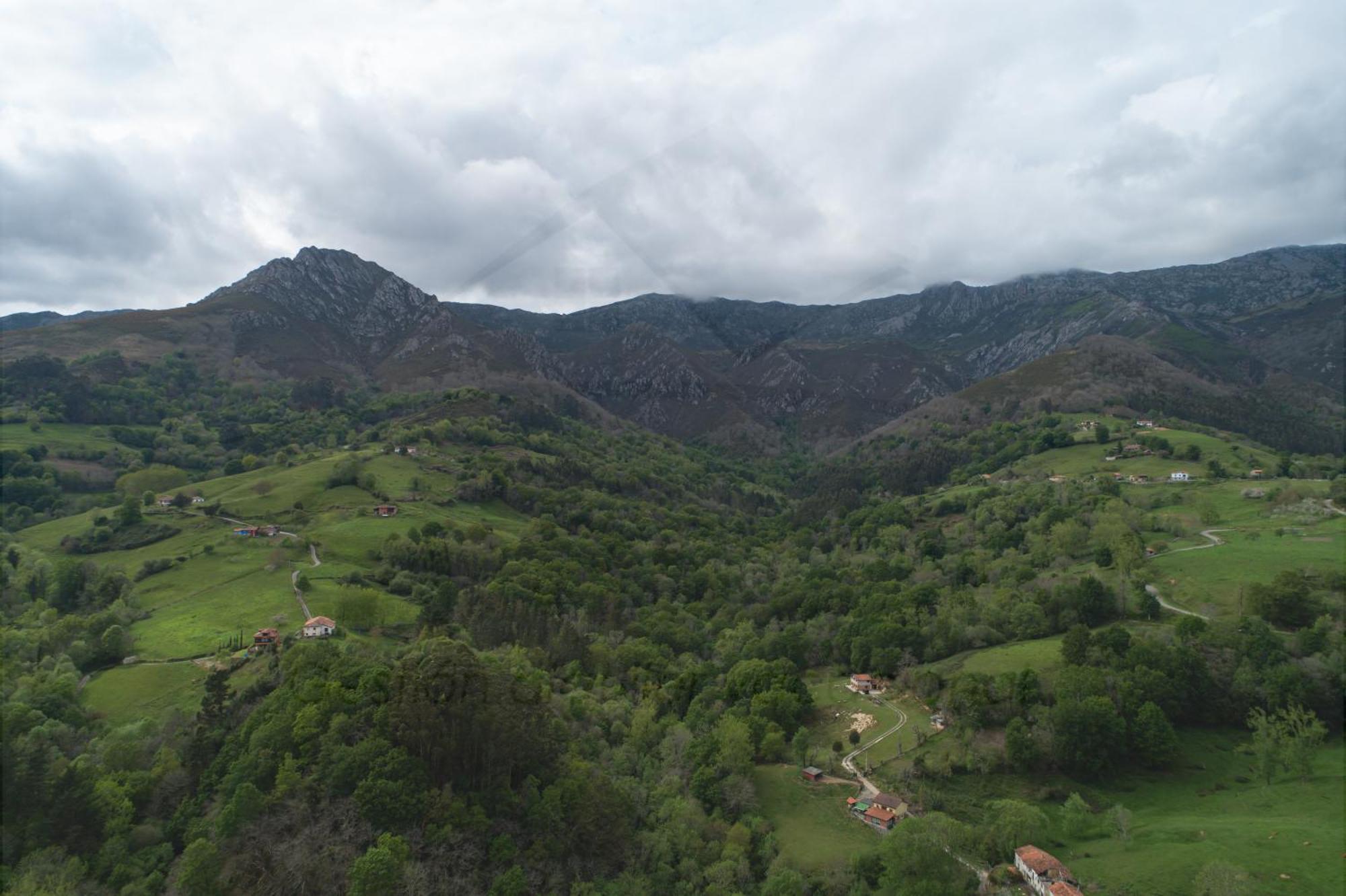Villa La Coqueta Del Sueve à Arriondas Extérieur photo